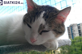 Siatki Drezdenko - Siatka na balkony dla kota i zabezpieczenie dzieci dla terenów Drezdenka