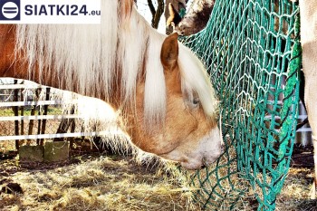 Siatki Drezdenko - Worek na siano dla koni - siatka oczko 4,5cm gr.3mm dla terenów Drezdenka